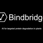 Bindbridge